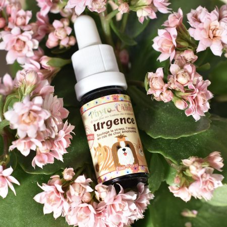Urgence Stress Et Anxiété Fleur de Bach 100% Phytothérapie